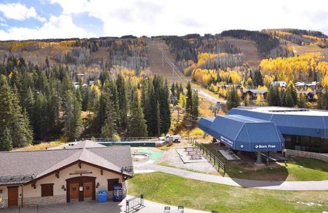 Vail Lionshead - Beautiful apartment with garden, close to lifts. 1D