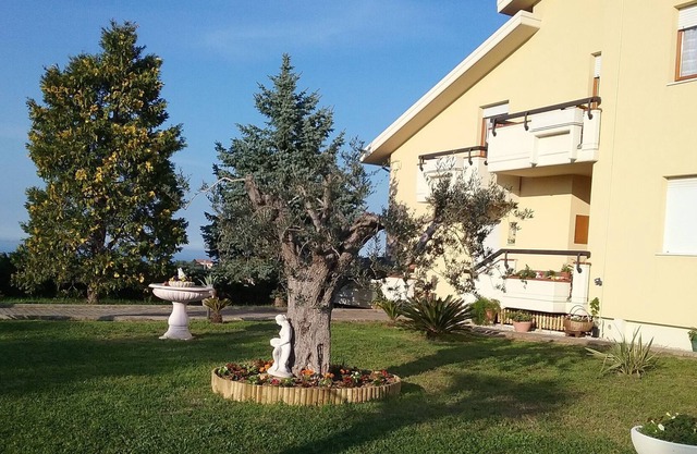 Vecchio Ulivo, the sea and the land, villa on the hill of Grottammare with sea view