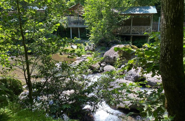Venera's Guest House