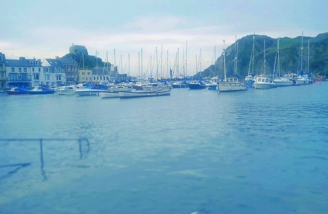 Verity and Ilfracombe Harbour View