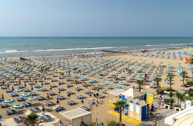 Vidi Miramare & Delfino