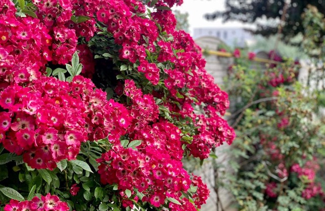 Vila Cristina Residence