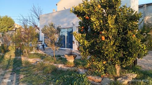 Villa Aubagne Gémenos