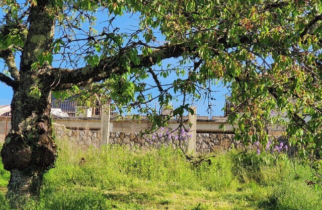 Villa, Avec Panorama SUR LE Mont Poupet Havre Ideal DE Paix, EN Famille