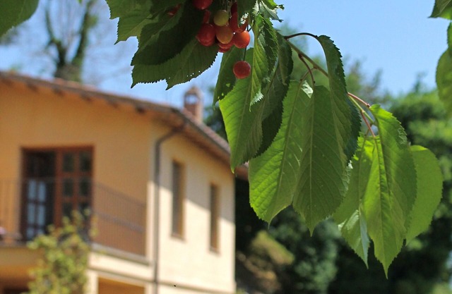 Villa Bagnoregio - Charme Holidays