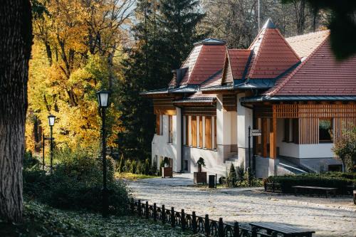 Villa Bellini Borszék