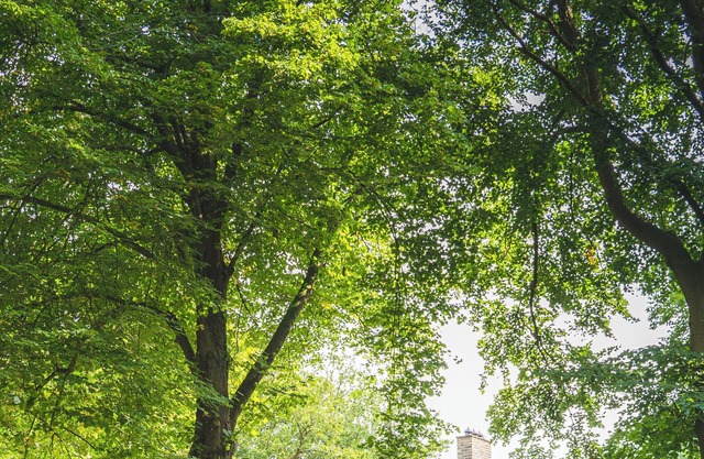 Villa Blooming met Privé bos in Bergen