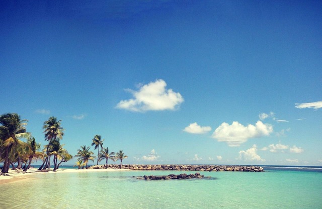 Villa Bois d Amour, sea view, white sand beach, kite surfing, river ,.