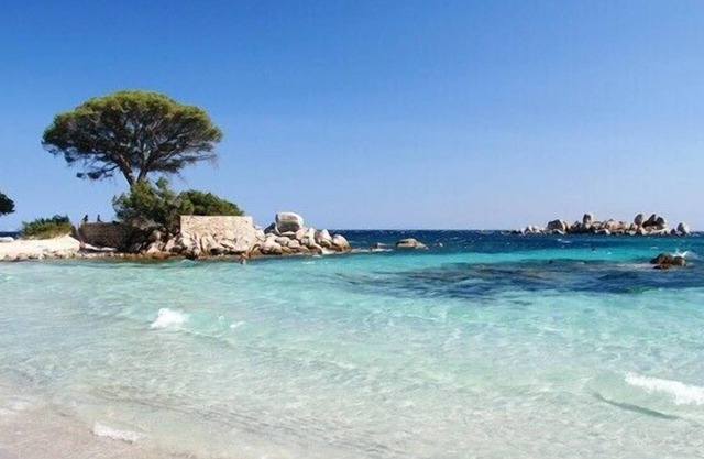 VILLA Charm and serenity 4bed/5sb 2km from Palombaggia Poolhouse 60m2 PORTO-VECCHIO