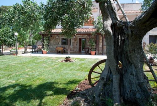 Villa Don Cosimo Tra Ulivi Secolari