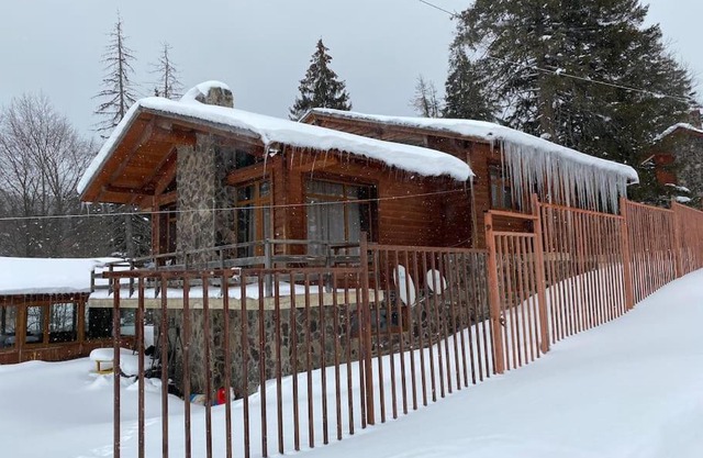 Villa Fox Bakuriani