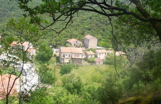 Villa in Corsica 18 pers Swimming pool, GR20 40 "Sea: Propriano 25" Bonifacio