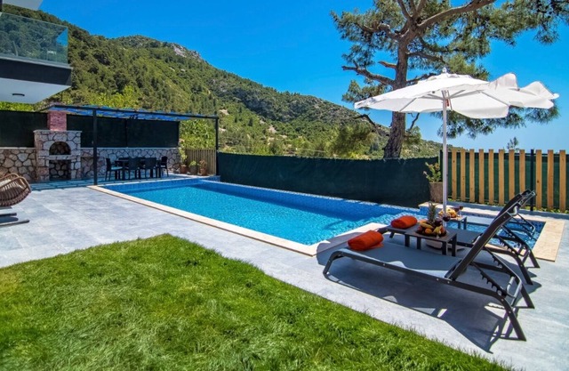 Villa Luka