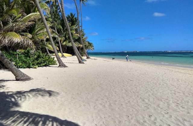 Villa Mahogany and its bungalow in Sainte Anne