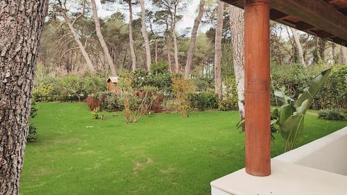 Villa Marella a few steps from sea