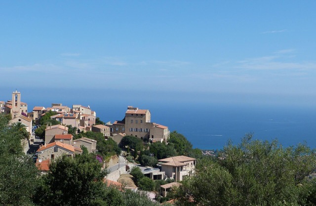 Villa OLIVEA 4 stars with SPA in Monticello Corsica