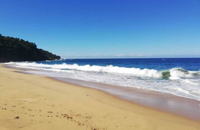 Villa Parota Estudio