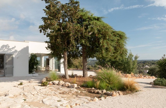 Villa Pettirosso on an elevated terraced olive grove,