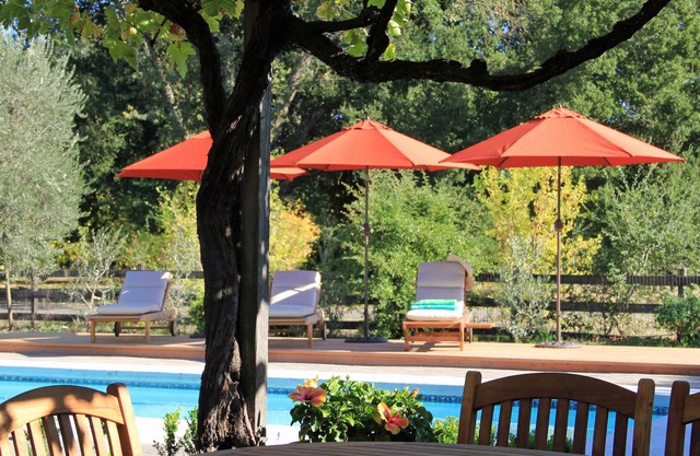 Villa Ticino - Romantic and exclusive vineyard estate - pool, spa, bocce, views