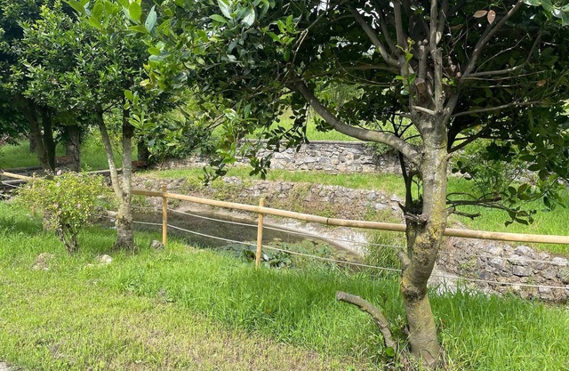 Villa Vinea Prisca