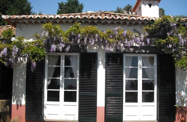 Villa Wisteria