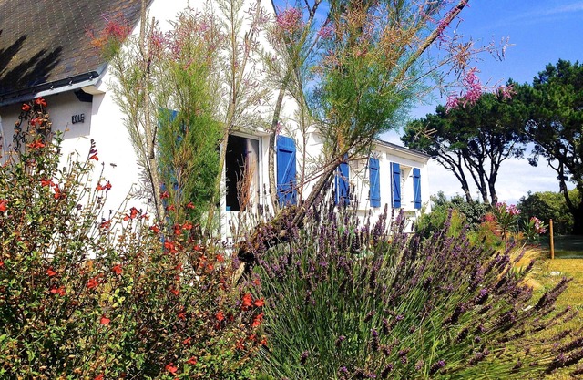 Villa with garden 250 m from the sea and the wild coast in a quiet
