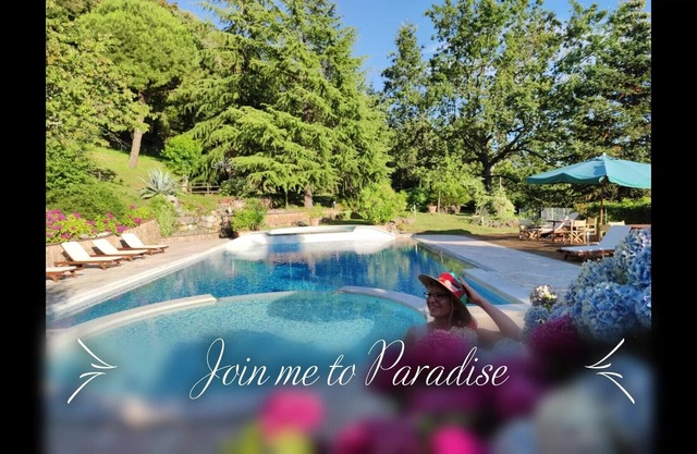 Villa with stunning view of the Versilia coast line, pool, huge park, 9 ad. + 2