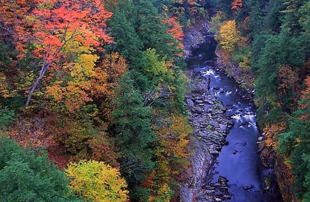 Village Farmhouse, mins to Okemo, Killington, Ascutney, GMHA. Pet-friendly.