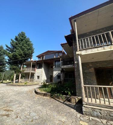 Villazia The Highest