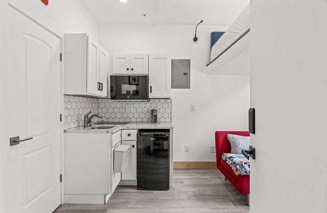 Vines Classic Studio