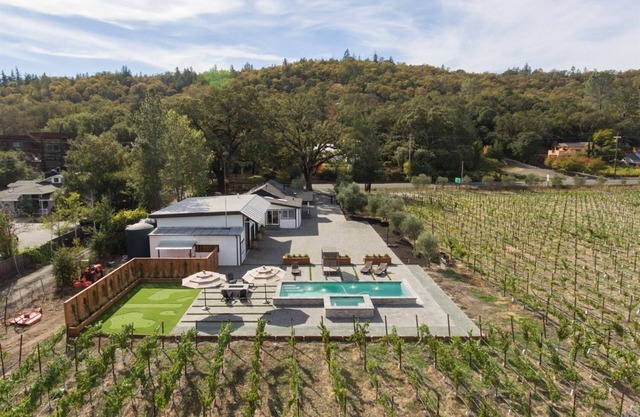 Vineyard