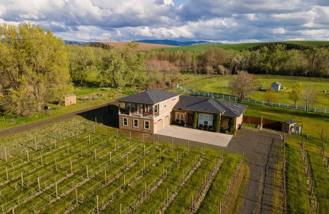 Vineyard View Estate · Vineyard View Estate