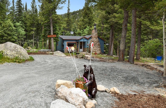 VR-21-0003 Enchanting Romantic Creekside-NS-Cabin Near Estes Allenspark , WiFi