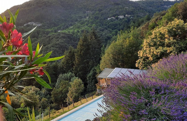 Vue Imprenable, Piscine 4mx14m à Partager Uniquement Avec les Propriétaires