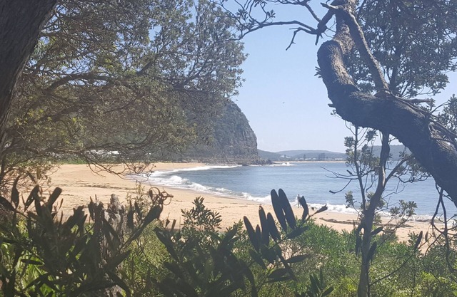 Wake up to the birds, fall asleep to the surf at Umina beach Bungalow