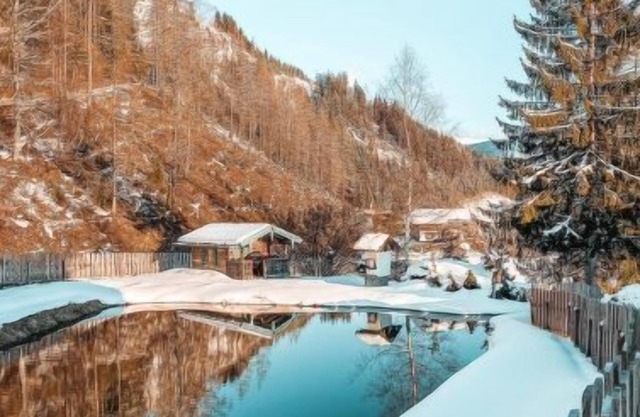 Waldkauz groß by Interhome