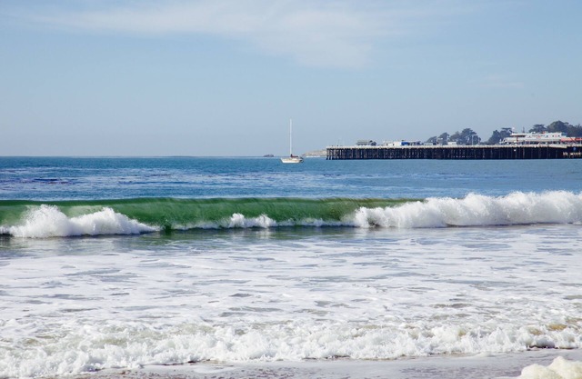 Walk to Seabright Beach, Boardwalk, Harbor from your Cozy Beach Retreat!