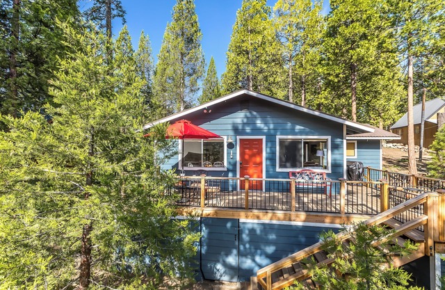 Walk to the Lake: East Village Cabin