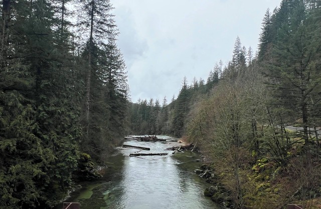 Washougal River Front Apt. Pets OKnClose to Columbia Gorge, close to PDX