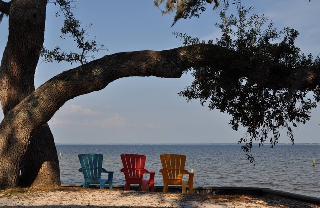 Water - Woods - Nature - Sweeping Bay Views - World-Class Fishing