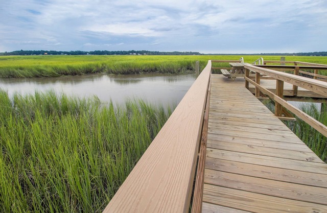 Waterfront, 7 acres; Stunning Home on Coastal Tidal Marsh w/Private Dock