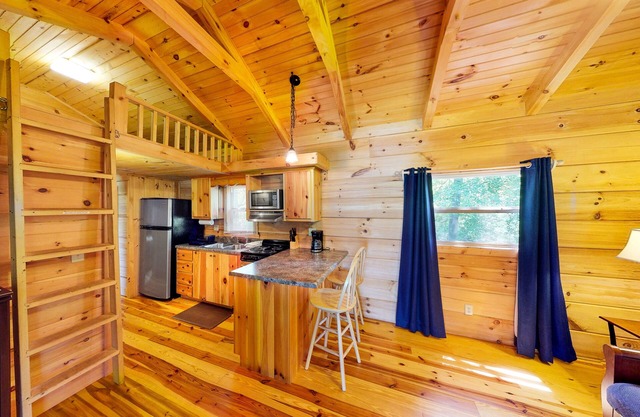 Waterfront cabin on two acres with dock and firepit