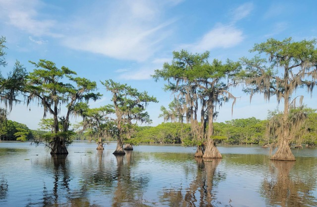 Waterfront, close to Caddo State Park, walk to Shady Glade, vast deck, remodeled
