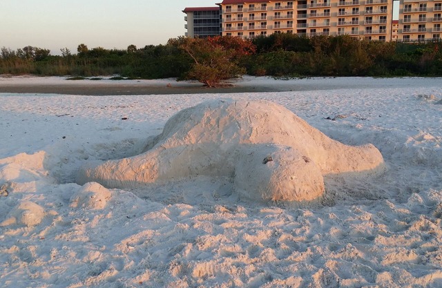 "WATERFRONT CONDO RENTAL"