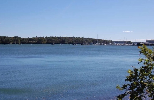Waterfront Cottage: Spectacular Views! Includes Kayaks, Grill, Fire Pit