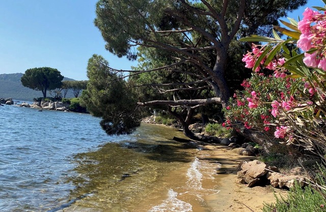 WATERFRONT DUPLEX MINI-VILLA, 3 KM FROM PORTO-VECCHIO
