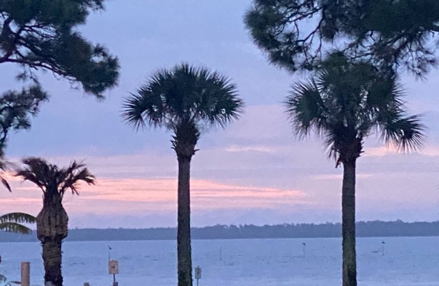 Waterfront on Ochlockonee Bay-Renovated condo & sparking pool