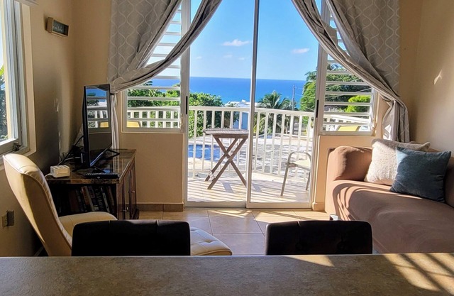 WaveView - Rincon Apartment Rentals: Puntas 1 BR Condo w/Ocean View