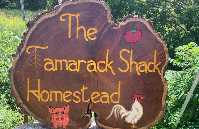 Wee Willa at The Tamarack Shack Homestead. Friendly farm animals to visit with!