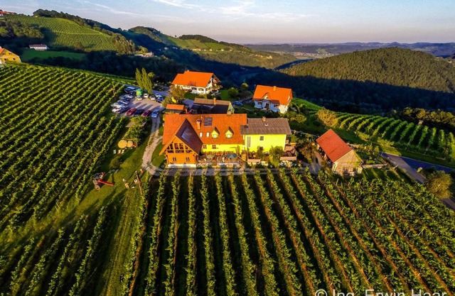 Weingut Reiterer